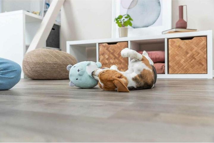 Actual product image Trixie Pluche Beer Mintgroen Voor Puppy (Plush toy dog)