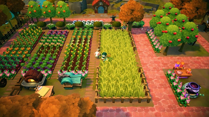 Actual product image Nintendo Fae Farm (Switch, DE)