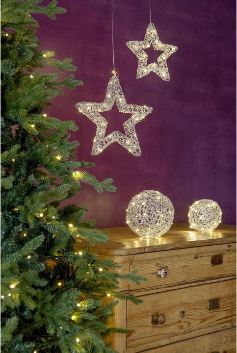 Image du produit STT Silver Ball, 20