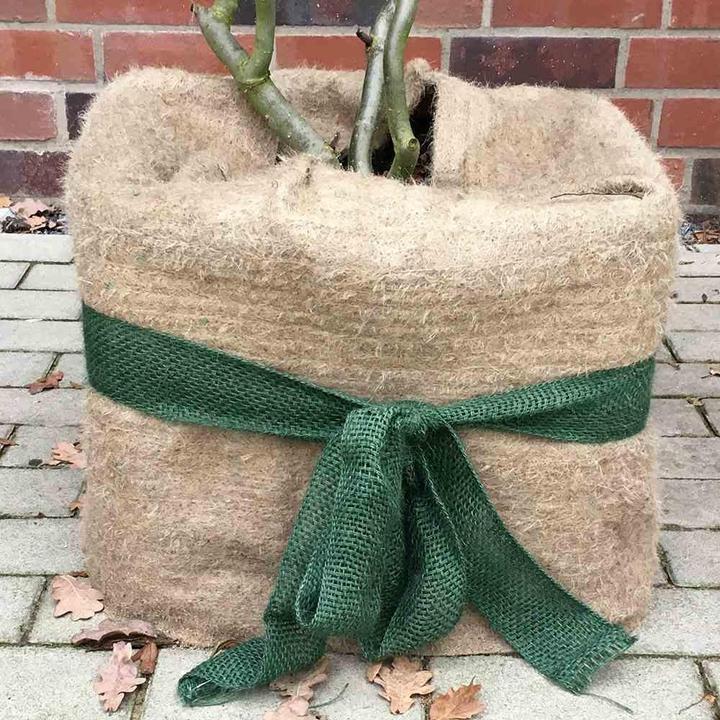 Image du produit Siena Garden Ruban d'emballage en jute vert 300x6cm