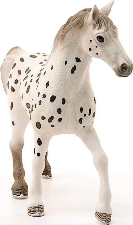 Image du produit Schleich Étalon Knabstrupper