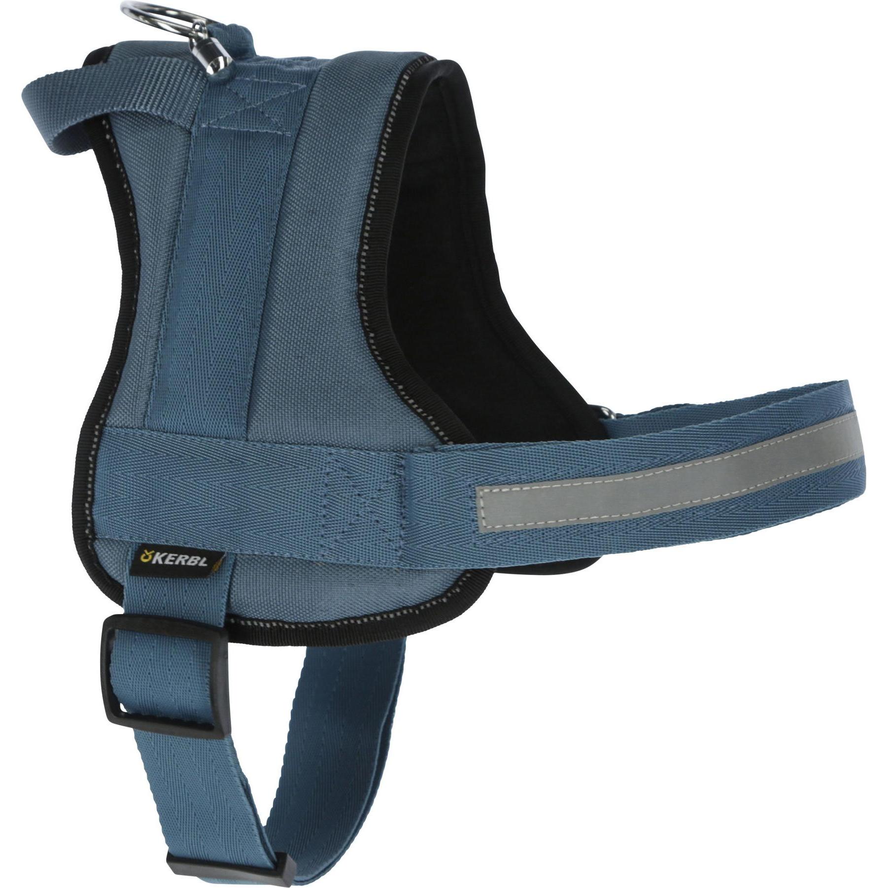 Kerbl Hundegeschirr Maestro 20 (Hund, Allgemein), Halsband + Leine