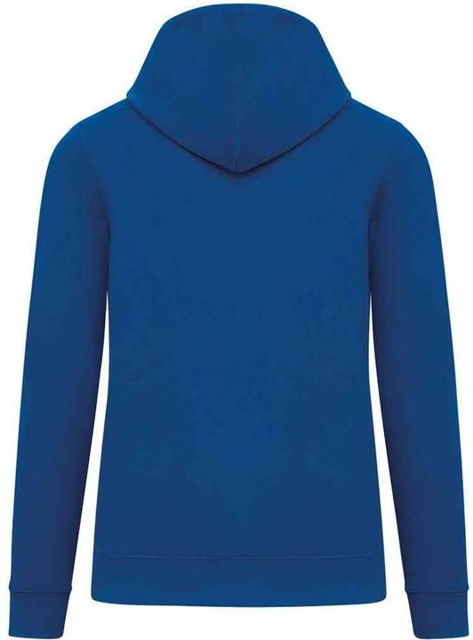 Actual product image Native Spirit Unisex Adult Heavyweight Hoodie (S)