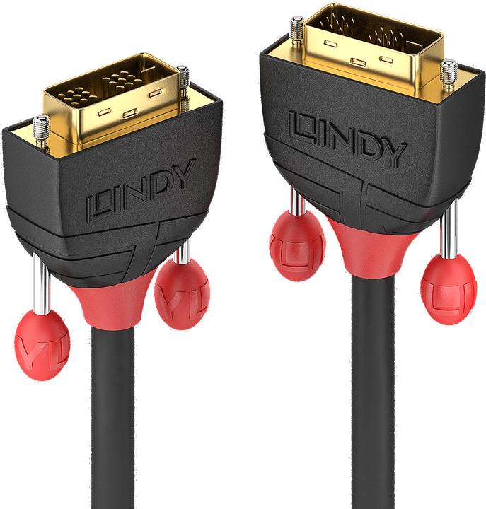 Actual product image Lindy Dvi — Dvi (10 m, DVI)