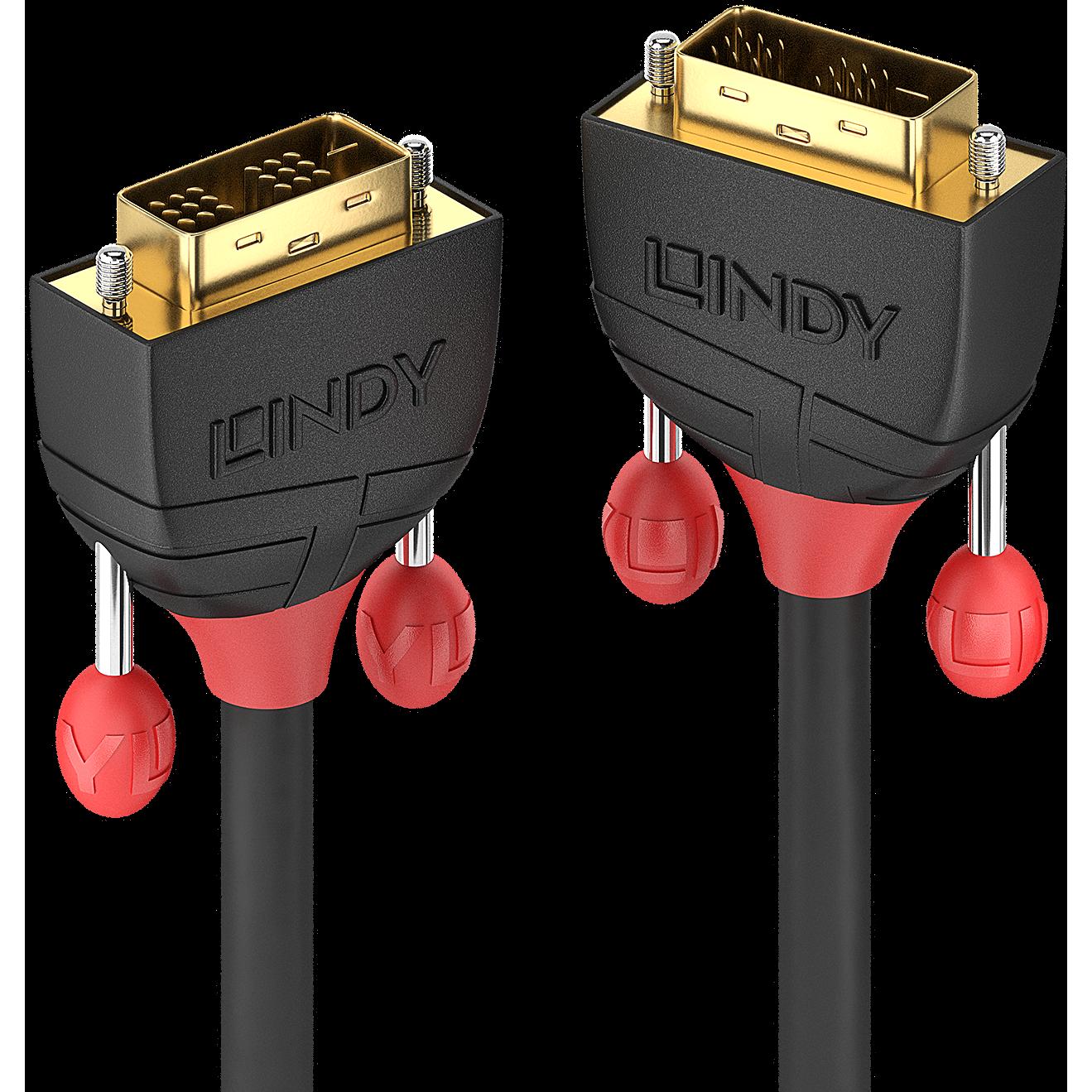 Lindy Dvi — Dvi (5 m, DVI), Video Kabel