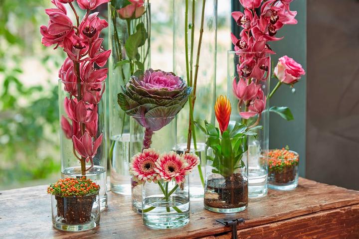 Produktbild B Living Zylinder (1 x, 9 x 24 cm)