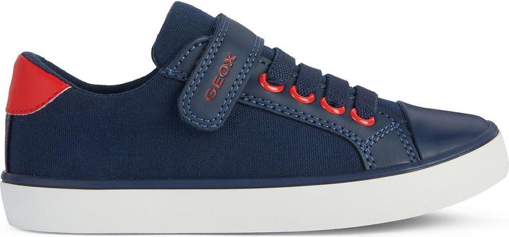 navy/red