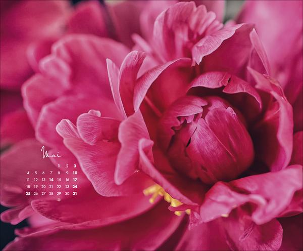 Produktbild FloralArt2026 (Querformat)