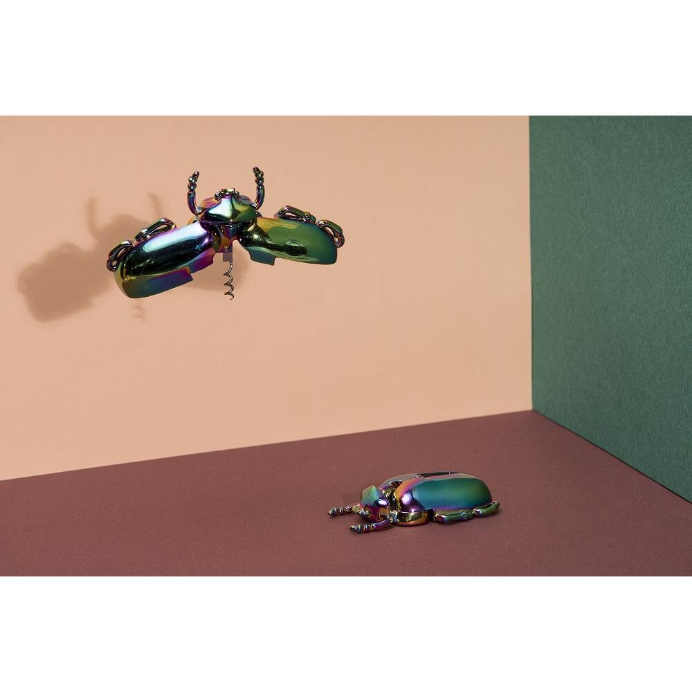 Doiy Insectum - buy at Galaxus