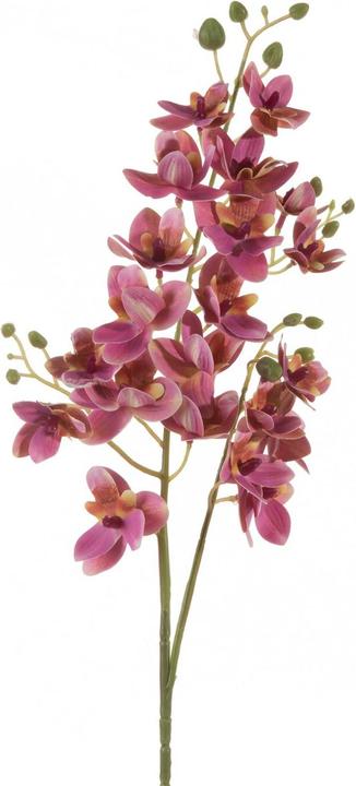 Eurofirany KW/NATU/367/R+Y ROZE+GEEL (77 cm)