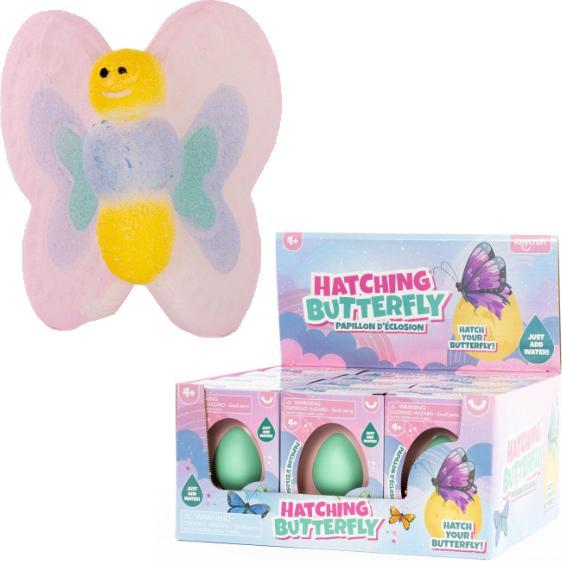 Actual product image Sombo Egg butterfly display