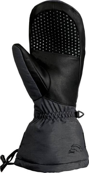 Produktbild snowlife Big Down DT Mitten (M)