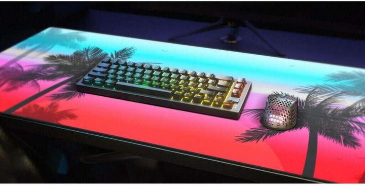 Actual product image CHERRY Gp5 Miami XL (XL)