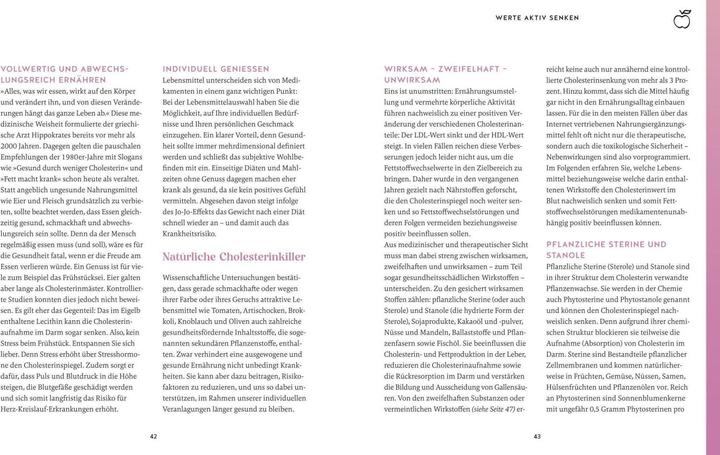 Actual product image Cholesterin senken (German, Aloys Berg, Andrea Stensitzky-Thielemans, Daniel King, 2024)