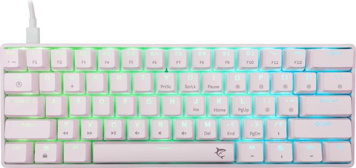 Produktbild White Shark GK-004221 Shinobi-2 Blue switch, White US (US, Kabelgebunden)