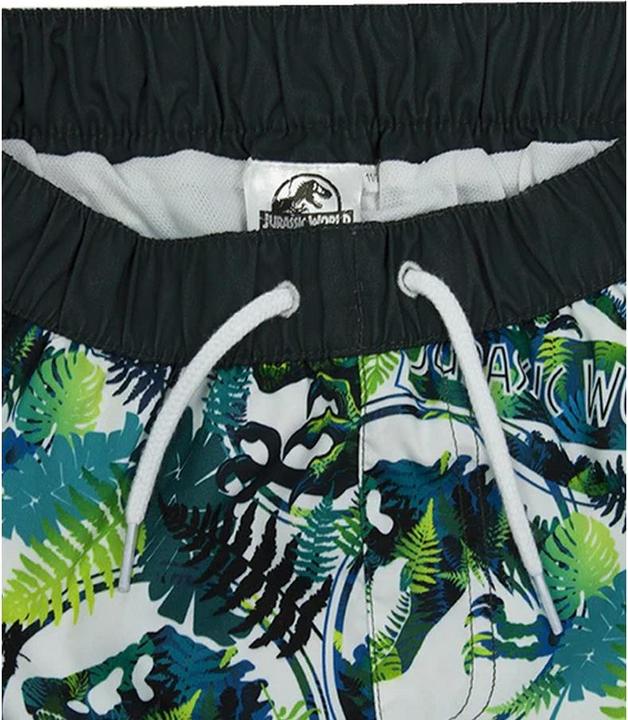Actual product image Jurassic World Short de bain Dinosaure pour garçons (116)