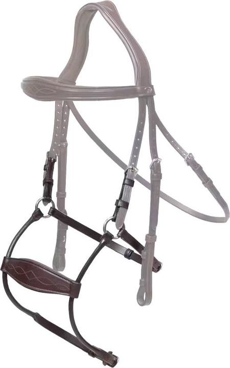 Image du produit Dy'on NE coll