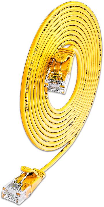Produktbild Lightwin Netzwerkkabel (UTP, CAT6, 0.50 m)