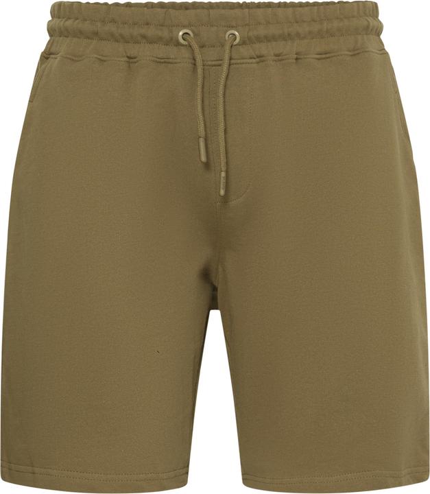 Noce cinerea americana