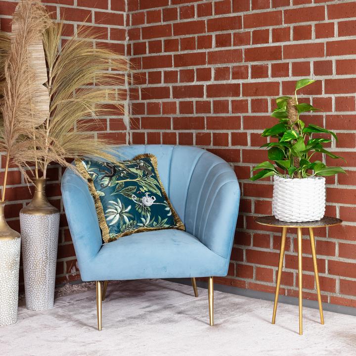 Actual product image Flowerbox Golden pothos on moss stick - height ca. 50 cm, pot-Ø 15 cm - Epipremnum aureum (50 cm)