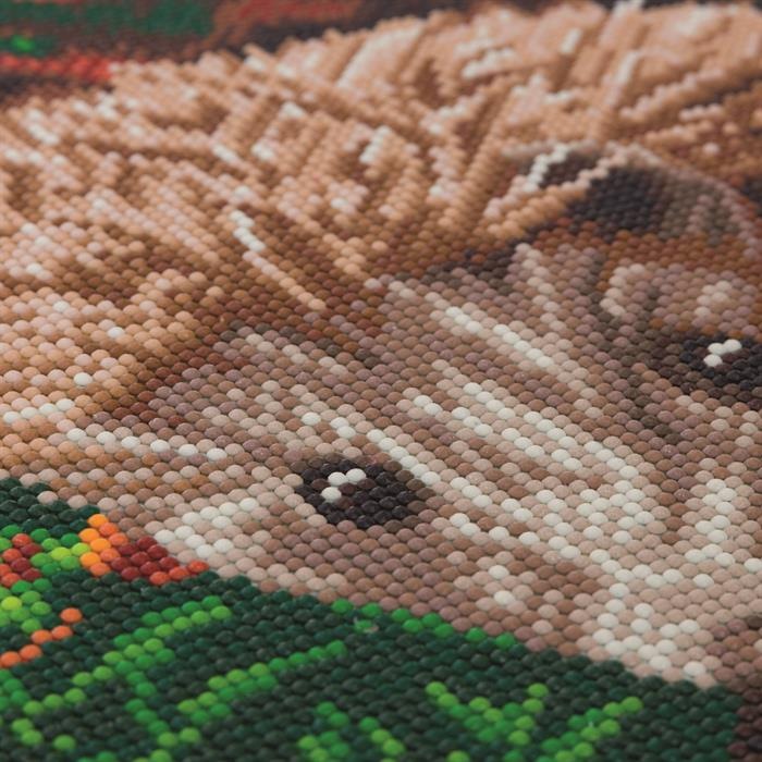 Produktbild Craft Buddy Hedgehog, 40x50cm Crystal Art Kit