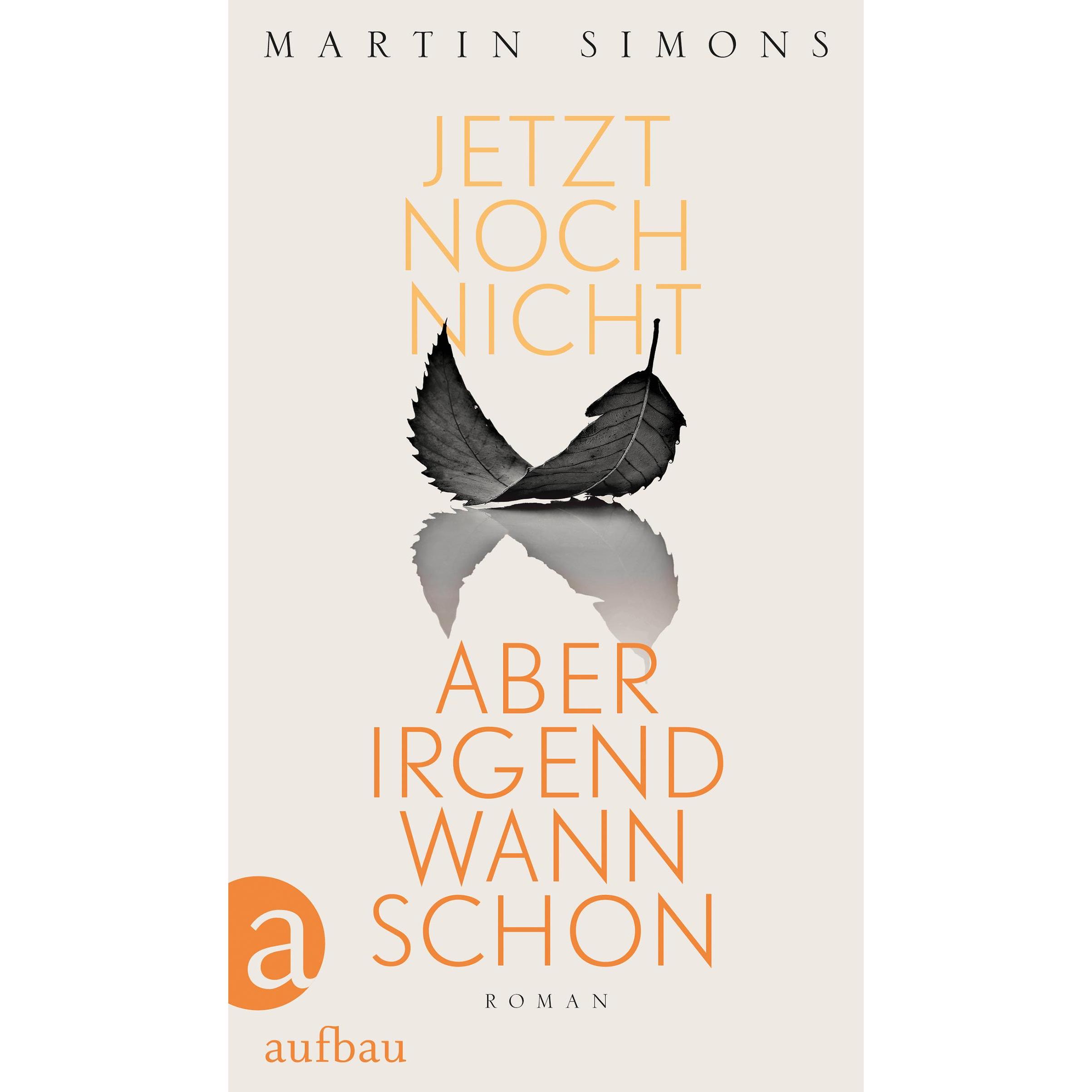 Jetzt noch nicht, aber irgendwann schon, Belletristik von Martin Simons