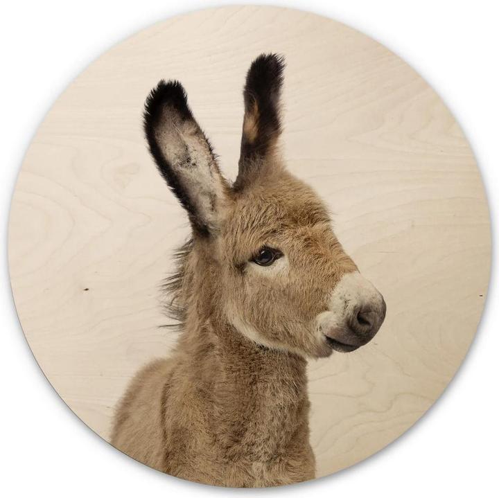 Immagine prodotto Trenddeko Asino bambino (Ø 30 cm)