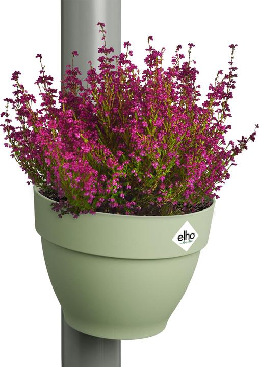 Actual product image Elho Vibia Campana (21.60 x 16.30 cm)