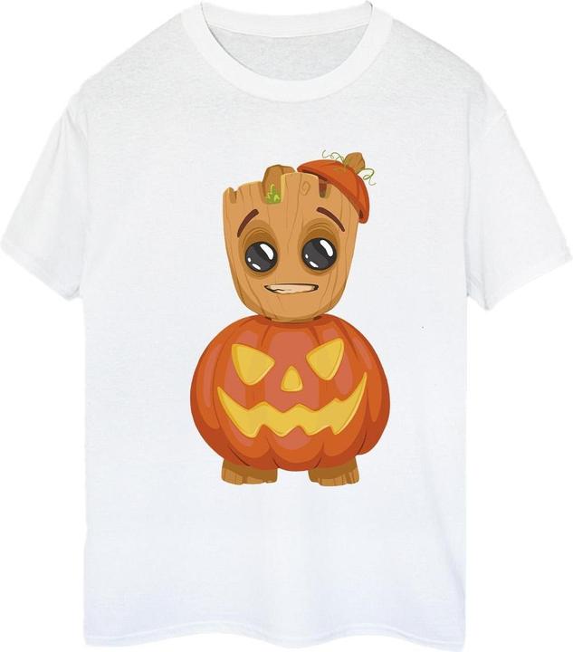 Produktbild I Am Groot TShirt (M)
