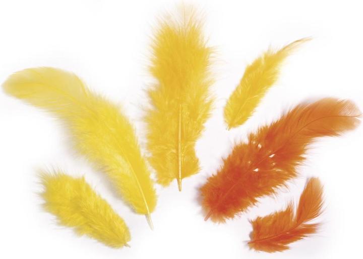 Image du produit Rayher Mélange de plumes jaune 10g