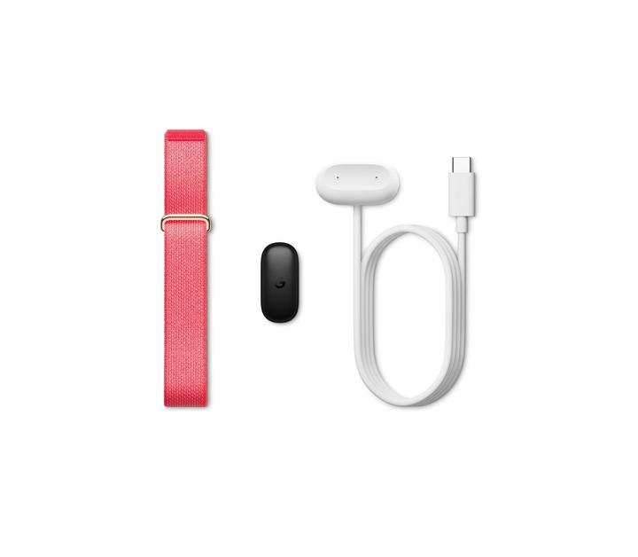 Produktbild Google Fitbit Air, Berry, EU