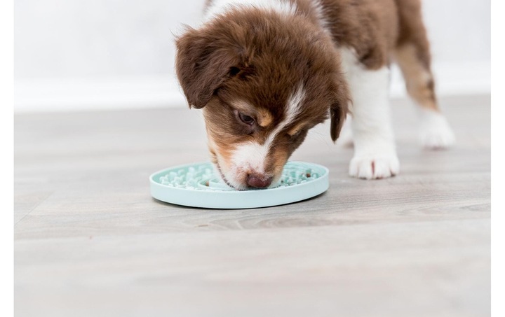 Produktbild Trixie Junior Schleckplatte, Ø 21 cm, Mint (Beschäftigungsspielzeug Hund)