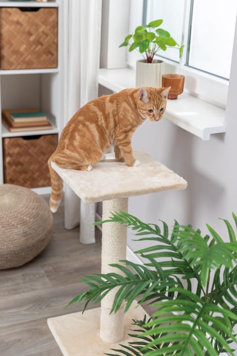 Productafbeelding Trixie Krabpaal Baena Beige (69 cm, Beige)