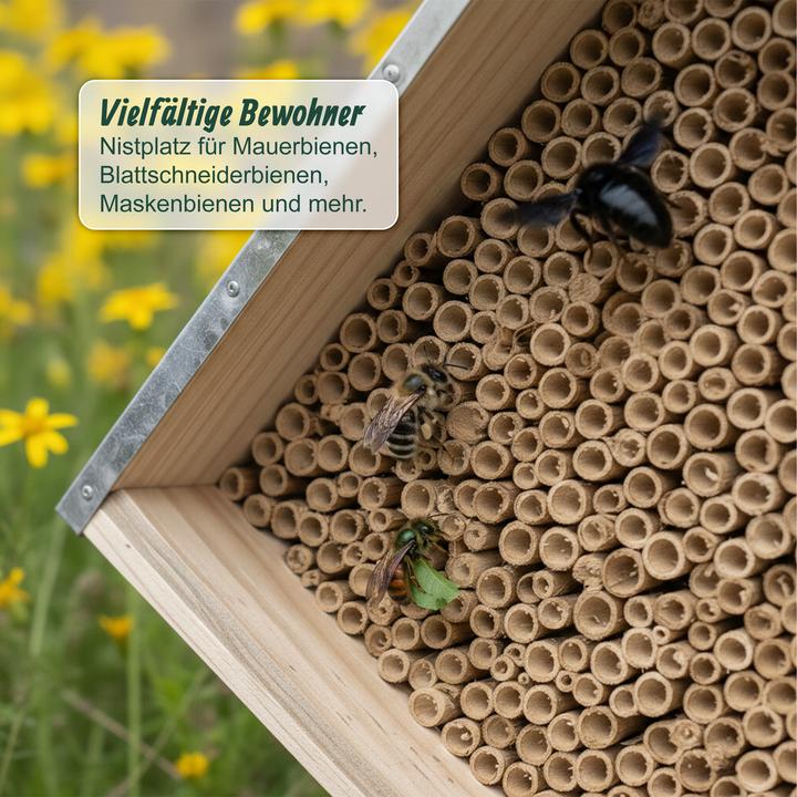 Immagine prodotto Relaxdays Hotel per api (Api)