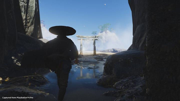 Actual product image Sony Ghost of Tsushima - PlayStation 4 - M (Mature) (PS4, DE)