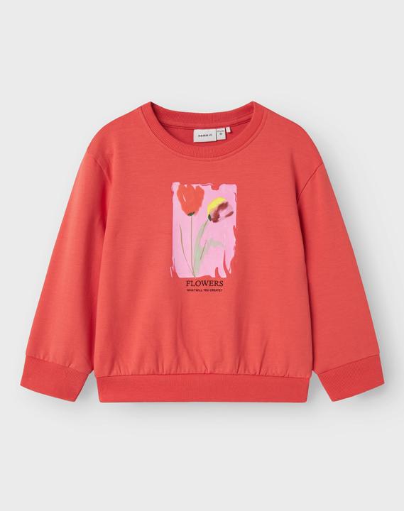 Image du produit Name it Bio-Baumwoll Sweatshirt (104)