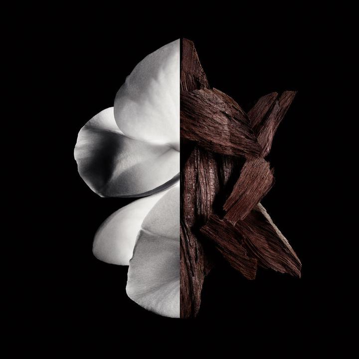 Immagine prodotto Givenchy Gentleman Boisée (Eau de parfum, 200 ml)