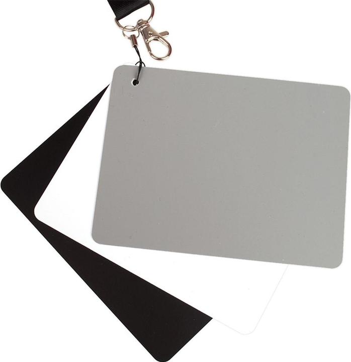 Image du produit Caruba Carte grise numérique DGC 2 (Diffuseur de flash)