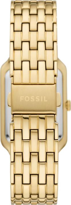Actual product image Fossil Raquel (Analogue wristwatch, 26 mm)
