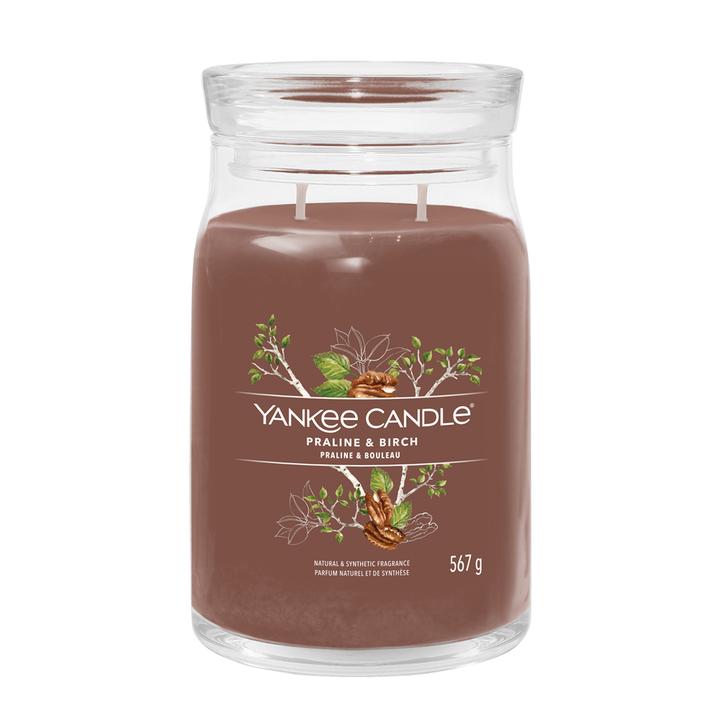 Actual product image Yankee Candle Scented Candle Praline & Birch Signature Large Jar