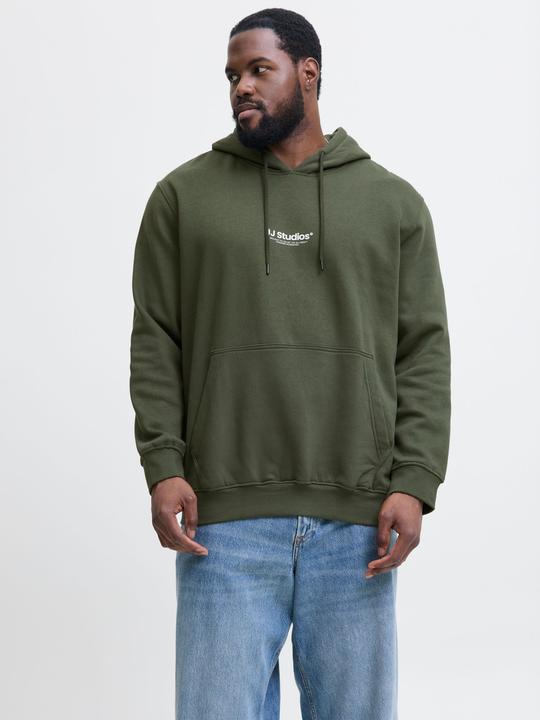 Actual product image Jack & Jones Jjesoho Sweat Hood Noos Pls (XXL)