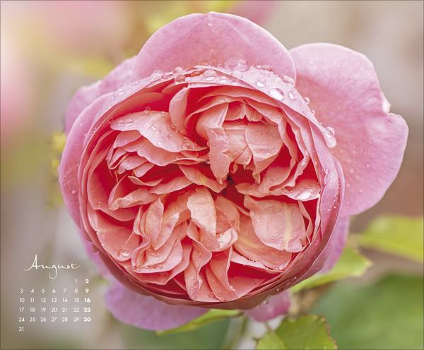 Produktbild FloralArt2026 (Querformat)