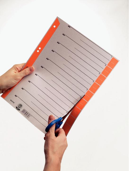 Produktbild Leitz Trennblätter, A4 Überbreite, Kraftkarton 230g/qm, blau aus grauem Karton mit hellblauen Taben