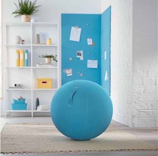 Immagine prodotto Leitz Palla per sedersi Ergo Cosy Active (65 cm)
