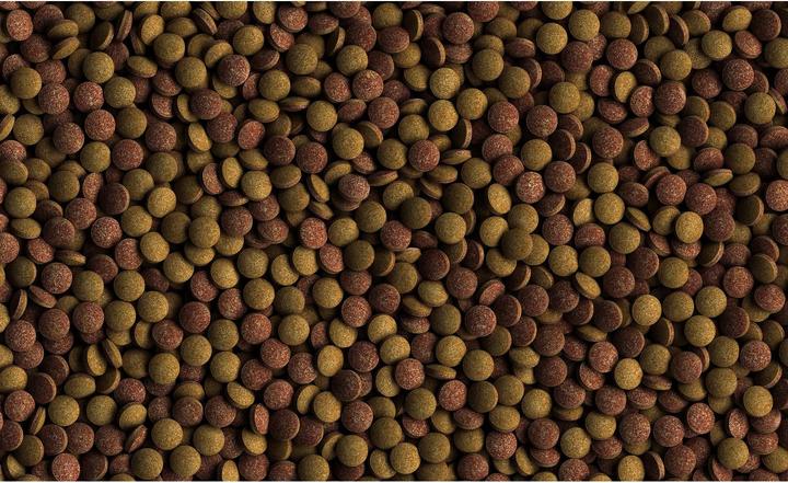 Image du produit Tetra TabiMin 2050 comprimés (Poissons d'ornement)