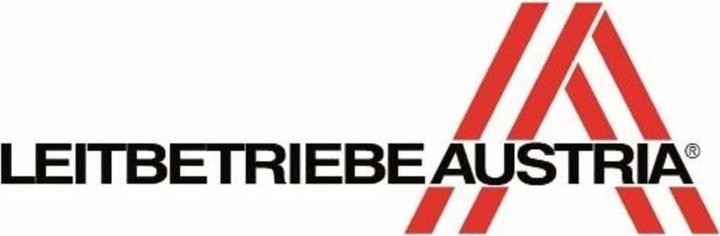 Actual product image Riess country dirndl (2 l)