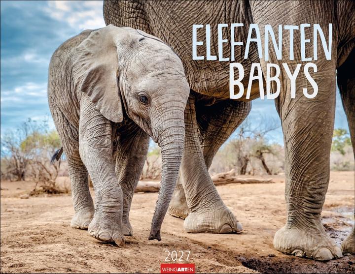 Elefantenbabys Kalender 2027