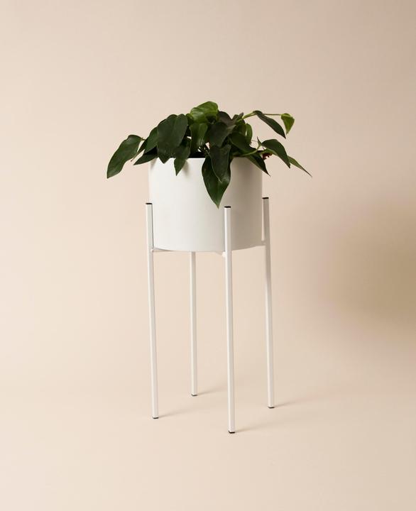 Produktbild Esmée Stehtopf (21 cm)