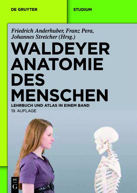 Produktbild Waldeyer - Anatomie des Menschen (Deutsch, Anton Waldeyer, Franz Pera, Friedrich Anderhuber, Johannes Streicher, 2012)