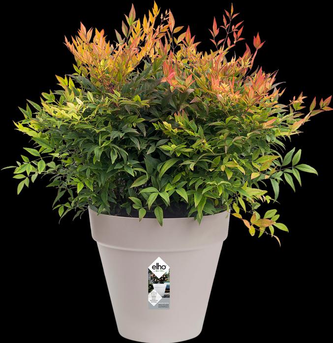 Immagine prodotto Elho Loft urbano (19.30 cm)